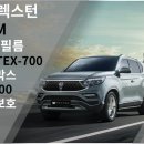 비전 비