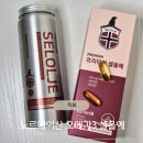 노르웨이약국 | 함량 높은 프리미엄 노르웨이 물개 오메가3 셀올예 솔직리뷰