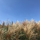 제이팜휴양펜션 이미지