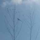 둥지농원 이미지