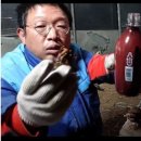 새나리생고기 이미지