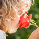 경희지성한의원 이미지