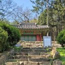 정충묘 이미지