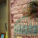 지카페 - 군포시 고산로 515 | 지카페
