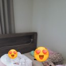 다울아이 이미지