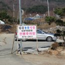 단감농원식당 - 칠곡군 | 단감농원식당