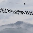 선바위교(1) 이미지