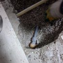 첨단모아아파트 주변 | 우리집 아들방 바닥 물바다 조치 오산누수 해결 후기