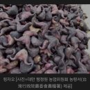 청일카써비스 | [타이완 한바퀴] 06. 컨딩 가는 길 닮은꼴 찾기~!<타이난 고속도로 휴게소, 선범석(촨판스), 어롼비...