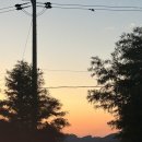 호리보건진료소 이미지