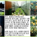 친환경부여농장 이미지