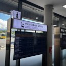 조이렌트카편의점 | [조이렌트카] 내돈내산 제주 렌트카 후기 !