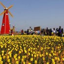 대부바다향기 테마파크 이미지