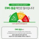 인셀덤사업