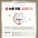 계절엔 동물의료센터 네이버블로그