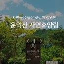 국립운악산자연휴양림 이미지