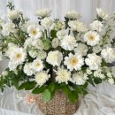 영인건설주식회사 이미지