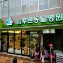광주 본 동물병원 이미지