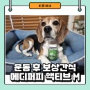 주식회사 메디맘플러스 | 운동 후 보상 간식으로 급여 중인 메디퍼피 액티브 M 후기