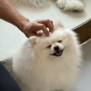 동탄유치원 이미지