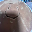 산호다방 | 2월의 지윤