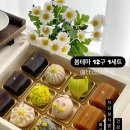 메호르디아 이미지
