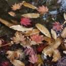 동막골주막 이미지