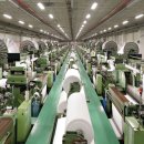 (주)벨벳 이미지