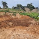 상정농장 이미지