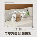 애견동반 가능한 파티룸 & 스튜디오 추천 "도토리클럽 합정점"
