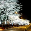 직지사길 이미지