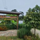 서주길(와룡면) 이미지