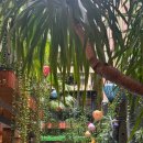 호텔통연동 | 다낭 수영장 이쁜 마케비치 내돈내산 후기 ; 치하우스 다낭 호텔