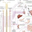 동행의원한의원 이미지