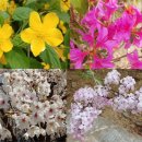 시니어노인복지센터 이미지