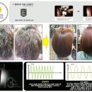 스파시스 이미지