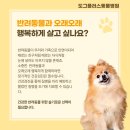 쿨펫동물병원 홈플러스 북구점 | 구미강아지성대수술 고민 끝내는 기준 총정리 (가격공개·부작용·대안까지 완벽 비교 가이드)