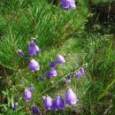 소현1리 이미지