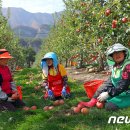 주한농장 이미지