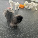 개린이세상 이미지