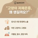 왜관동물병원 이미지