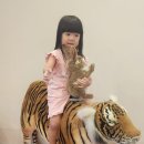 쥬키퍼스 이미지
