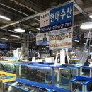 최강회수산 이미지
