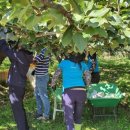 둔포면행정복지센터 이미지