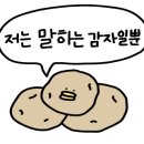 거북이과자점 네이버블로그
