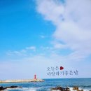 바다빛 이미지