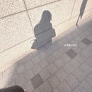 26년 2월의 쉬어가던 날들✨(+덕질이 포함 된)