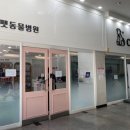 쿨펫동물병원(탄방점) 이미지