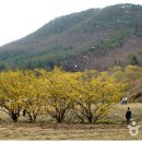 강남송파 자전거 연합 2024년 3월 23일(토) 번개 라이딩 이미지