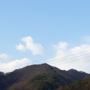 아리 동물병원 이미지